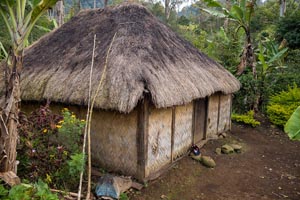 Typical Thatched Hut